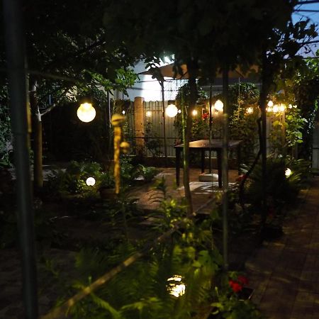 Casa De Vacanta Rodica Сулина Экстерьер фото