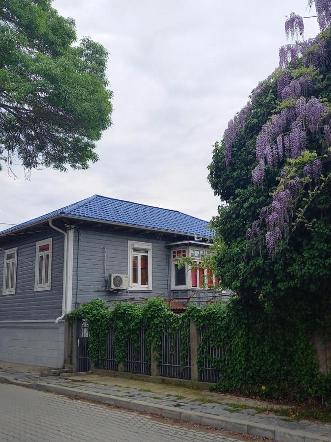 Casa De Vacanta Rodica Сулина Экстерьер фото