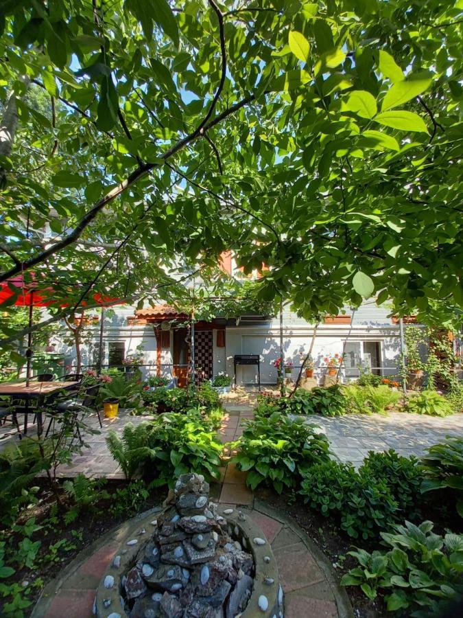 Casa De Vacanta Rodica Сулина Экстерьер фото