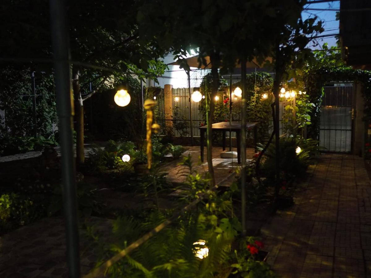 Casa De Vacanta Rodica Сулина Экстерьер фото