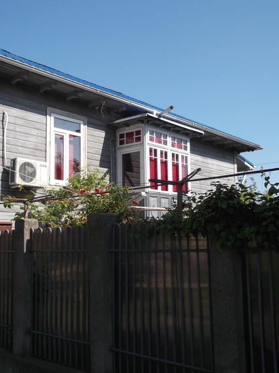 Casa De Vacanta Rodica Сулина Экстерьер фото